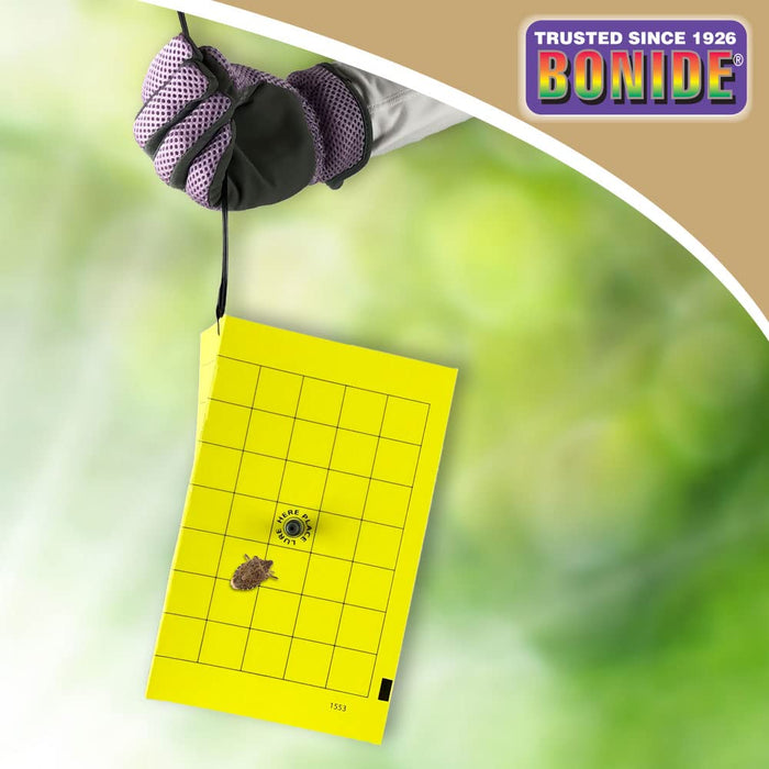 Bonide Bug Beater Stink Bug Trap, Attracts and Catches Stink Bugs Indoors and Outdoors, Long Lasting and Odorless Protection