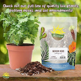 Terrarium Potting Soil Mix (8 Quarts), w/Blended Filtering Charcoal Custom Made for Terrariums