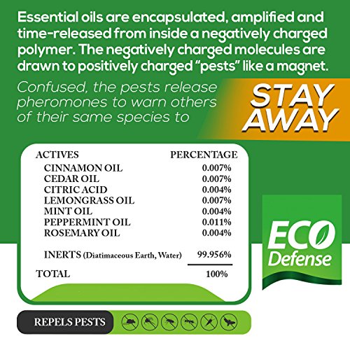 Eco Defense Pest Control Pouches - All Natural - Repels Rodents, Spiders, Roaches, Ants, Moths, Squirrels, & Other Pests