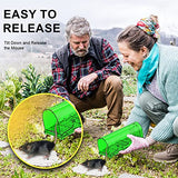 4 Pack 93 Holes Humane Mouse Traps Indoor for Home/Outdoor, Live Catch and Release Mice Traps, No Kill Mouse Catcher, Easy to Set and Reusable Humane Trap, Safe for Families and Pets