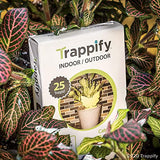 Trappify Sticky Gnat Traps for House Indoor - Yellow Fruit Fly Traps for Indoors/Outdoor Plant - Insect Catcher White Flies, Mosquitos, Fungus Gnat Trap, Flying Insects - Disposable Glue Trapper (12)