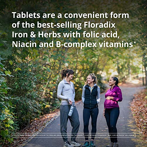 Floradix Iron Salus 120 Tabs