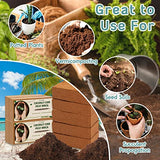 Legigo 10 Pack Premium Coco Coir Brick for Plants- 100% Organic Compressed Coconut Coir Bricks Starting Mix, Coco Coir Fiber Coconut Husk for Planting, Gardening, Potting Soil Substrate, Herbs