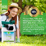 Eco Defense Flea, Tick, and Mosquito Spray for Yard and Perimeter - Safe Around Kids, Pets, Plants - Outdoor Barrier Control & Repellent - Ready-to-Spray Covers Up to 5,000 sq ft