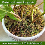 DUSPRO Big Bag Dried Forest Moss for Plant Propagation Sphagnum Moss Bulk for Orchid Repotting Mix Organic Soil Medium Bale Premium Hand Selected 16 QRT