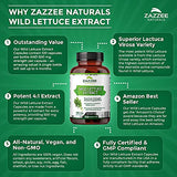 Zazzee Wild Lettuce Extract, 500 mg Strength per Capsule, 120 Vegan Capsules, Most Potent Lactuca Virosa Variety, Powerful 4X Extract, Vegan and Non-GMO