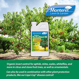 Monterey Horticultural Oil - Organic Gardening Fungicide, Insecticide, & Miticide - 1 Quart - Apply Using a Sprayer Following Mix Instructions