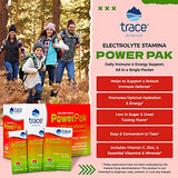 Trace Minerals | Power Pak Electrolyte Powder Packets | 1200 mg Vitamin C, Zinc, Magnesium | Boost Immunity, Hydration and Natural Energy | Watermelon | 30 Packets