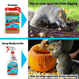 I Must Garden Squirrel Repellent: Protects Vehicles, Plants, Decking, & Furniture – Works on Chipmunks – 1 Gallon Ready to Use Refill