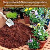 Legigo Pack of 10 Organic Coco Coir Bricks- 100% Natural Compressed Coco Peat Brick Coconut Fiber Substrate with Low EC&pH Balance, Plant Soil Enhance Root Growth for Herbs, Flowers, House Plants