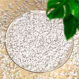 Perlite for Plants - 15QT Organic Perlite Bulk for Indoor Plants, Succulents, Vegetables, Garden, Horticultural Perlite for Soil, Potting Soil Mix, Root Cuttings, Seed Starting…