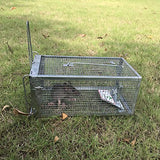 Kensizer Animal Humane Live Cage Trap That Work for Rat Mouse Chipmunk Mice Voles Hamsters and Other Small Rodents, Trampa para Ratones, Catch and Release