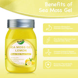 QANLOI Seamoss Raw Organic Gel-15OZ Sea Moss Gel-Sea Moss Advanced Superfood-Immune and Digestive Support-Sea Moss Wildcrafted(Lemon)