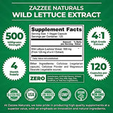 Zazzee Wild Lettuce Extract, 500 mg Strength per Capsule, 120 Vegan Capsules, Most Potent Lactuca Virosa Variety, Powerful 4X Extract, Vegan and Non-GMO