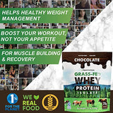 Opportuniteas Chocolate Whey Protein Powder - Grass Fed Whey Isolate + Organic Cacao + Himalayan Salt - Delicious Taste for Shakes, Smoothies, Cooking & Baking Recipes - Gluten Free & Non GMO - 1 lb