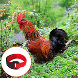 3 Pack No Crow Rooster Collar, Chicken Collar Anti-Hook Noise Free Neckband No Crow Noise Neck Belt for Roosters - Prevent Chickens from Screaming, Disturbing Neighbors