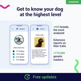 Koko DNA Test for Dogs Starter - (Breeds and Traits Reports) - Updates at no Cost