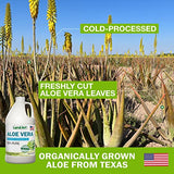 Land Art Pure Aloe Vera Drinkable Gel Unflavored - Cold-Processed Inner Filet - from Organic Fresh Leaves from Texas - for Heartburn Relief - Acid Reflux - 64 fl oz