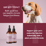 Kidney Support for Dogs - Kidney Support for Cats & Dogs - Vet Approved Dog Kidney Support - Kidney Detox Dog Liver Supplement - Adrenal Support for Dogs -Healthy Kidney Dog Food Additive