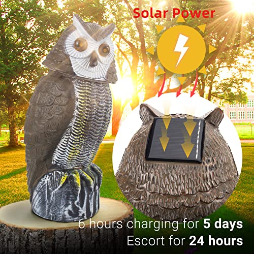 molemo Solar Bird Repellent, Owl Decoy Bird Deterrent Devices Outdoor with Flashing Eyes & Realistic Sound & Rotating Head, Intelligent Animal Repeller for Home, Garden, Patio, RV, Halloween