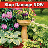 I Must Garden Squirrel Repellent - 3lb Granular - Stops Digging in Flower Pots and Beds