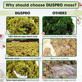 DUSPRO Big Bag Dried Forest Moss for Plant Propagation Sphagnum Moss Bulk for Orchid Repotting Mix Organic Soil Medium Bale Premium Hand Selected 16 QRT