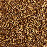 Kaytee Wild Bird Food Mealworms For Bluebirds, Wrens, Robins, Chickadees, Woodpeckers, Cardinals & Chickens, 2 Pound