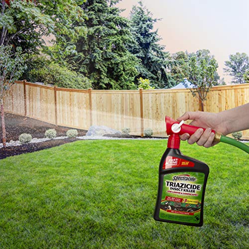 Spectracide Triazicide Insect Killer For Lawns & Landscapes Concentrate (Ready-To-Spray), Protects Lawns, Vegetables, Fruit & Nut Trees, Roses, Flowers & Shrubs, 32 fl Ounce