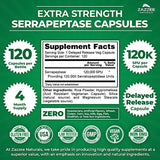 Zazzee Delayed Release Serrapeptase, 120,000 SPU per Capsule, 120 Vegan Capsules, 4 Month Supply, Extra Strength, Potent and Concentrated Systemic Enzymes, 100% Vegetarian, All-Natural and Non-GMO