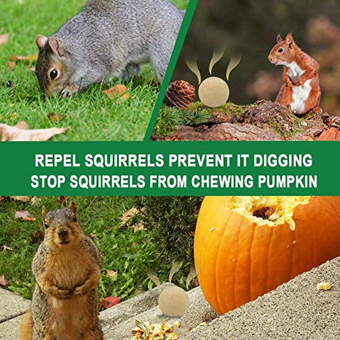 SUAVEC Squirrel Repellent Outdoor, Chipmunk Repellent, Squirrels Repellent for Garden, Squirrel Deterrent Mint, Indoor Repellent Squirrels for Attic, Keep Squirrel Away for Bird Feeders/Plants-8P