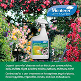 Monterey LG 3174 Ready to Use Fungicide & Bactericide for Control of Garden & Lawn Diseases, 32-Ounce RTU, 32 oz