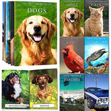 6 Pack Picture Book Set for Seniors with Dementia, Activities for Elderly Seniors, HD Image Quality-Provide Products for Alzheimer's Patients and Adults, Brain Exercise, Increased Communication