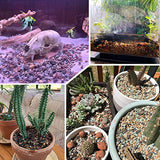 18lb Mix Horticultural Lava Rock Pebbles Pumice Potting Soil Amendment Succulent Cactus Bonsai Gritty Rock Decorative Gravel Plant Drainage Volcanic Rock for Aquarium Fairy Gardening Top Dressing