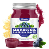 Sea Moss Gel, 18 OZ Wildcrafted Irish Seamoss Gel Rich in 92 Minerals & Vitamins Supports Immune System & Thyroid & Antioxidant, Non-GMO Organic Raw Sea Moss Supplements Blueberry Flavor