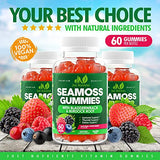 Sea Moss 3000mg Gummies with Bladderwrack and Burdock Root - Natural Irish Sea Moss for Immune, Thyroid and Detox Support - Extra Strength, Great Tasting - Gluten-Free, Vegan - 60 Gummies