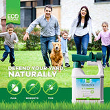 Eco Defense Flea, Tick, and Mosquito Spray for Yard and Perimeter - Safe Around Kids, Pets, Plants - Outdoor Barrier Control & Repellent - Ready-to-Spray Covers Up to 5,000 sq ft