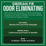 Siberian Fir Two Pack Odor Eliminating Highly Fragranced Candle - Eliminates 95% of Pet, Smoke, Food, and Other Smells Quickly - Up to 80 Hour Burn time - 12 Ounce Premium Soy Blend