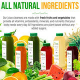 1 Day Juice Cleanse by Raw Fountain, Tropical Flavors, All Natural Raw, Cold Pressed Fruit and Vegetable Juices, Detox Cleanse, 6 Bottles 12oz, 3 Bonus Ginger Shots
