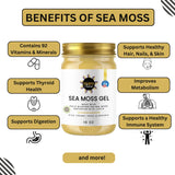 Organic Sea Moss Gel - Wildcrafted Irish Seamoss Gel Nutritious Vegan Vitamin Supplement - Rich in Minerals & Protein - Made in USA (Original, Pack of 1)