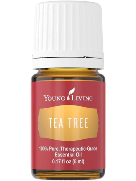 Young Living Tea Tree (Melaleuca Alternifolia) Essential Oil - 5ml Bottle - Clear and Healthy Complexion - Inhale the refreshing aroma of Tea Tree Oil to support clear breathing