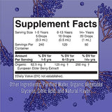 MaryRuth Organics Herbal Supplement Drop | for Immune Support | Pack of 1 | Elderberry | Syrup | Extra Strength | Black Liquid | USDA | Vegan | Non-GMO | Gluten Free | 60 Servings