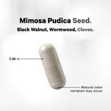 Codeage Organic Mimosa Pudica Seed Capsules - Mimosa Pudica Seeds Supplement - Black Walnut, Cloves, Vidanga, Neem, BioPerine - All in One - Sensitive Plant Pills - Non-GMO & Vegan - 120 Capsules