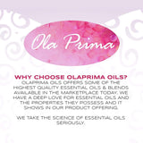 Ola Prima Oils 8oz - Lavender Essential Oil - 8 Fluid Ounces