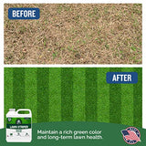 Turf Titan Lawn Striper - Lawn Fertilizer for Deep Green Color- Powerful Nitrogen Fertilizer with Iron for Plants and Lawn Care - Liquid Fertilizer for Lawn Greening - 32 oz - No Hose Sprayer