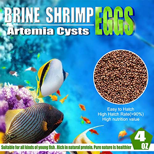 Brine Shrimp Eggs for Aquatic Foods Baby & Fry Foods The Popular 90% Hatch GSL Brine Shrimp Eggs (4 OZ)