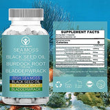 Organic Sea Moss Capsules - Irish Sea Moss 35,000mg & Black Seed Oil 10,500mg & Burdock Root 3500mg & Bladderwrack 3500mg - for Support Immune System, Gut, Skin, Energy (120 Vegan Capsules)