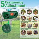 Animal Repellent Ultrasonic Outdoor, New Solar Animal Repeller, Animal Repeller Motion Activated Waterproof, Solar Ultrasonic Animal Repeller with Motion Sensor & Flash Lights for Yard Garden Farm