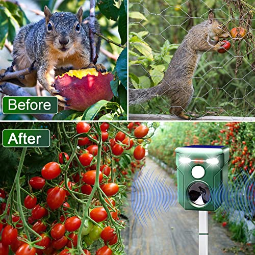 Solar Ultrasonic Animal Repeller - Cat Coyote Deterrent Outdoor, Squirrel Deer Dog Repellent with Motion Detection & Flashlight & Ultrasonic Sound, Keep Cats Skunk Rabbit Fox Out of Yard Permanently