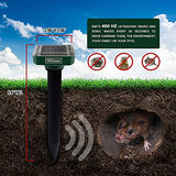 HDGreen Animal Repellent for Garden - Our 4 Pack Rodent, Squirrel, Mole Repellent for Lawns is The Answer for How to Keep Groundhogs Away - Waterproof Pest Repellents to Get Rid of Moles in Your Yard