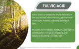 Liquid Fulvic Acid + 72 Trace Minerals | Digestion | Hydration | Keto, Dietary Supplement | Energy | pH Balance | 2-Month Supply